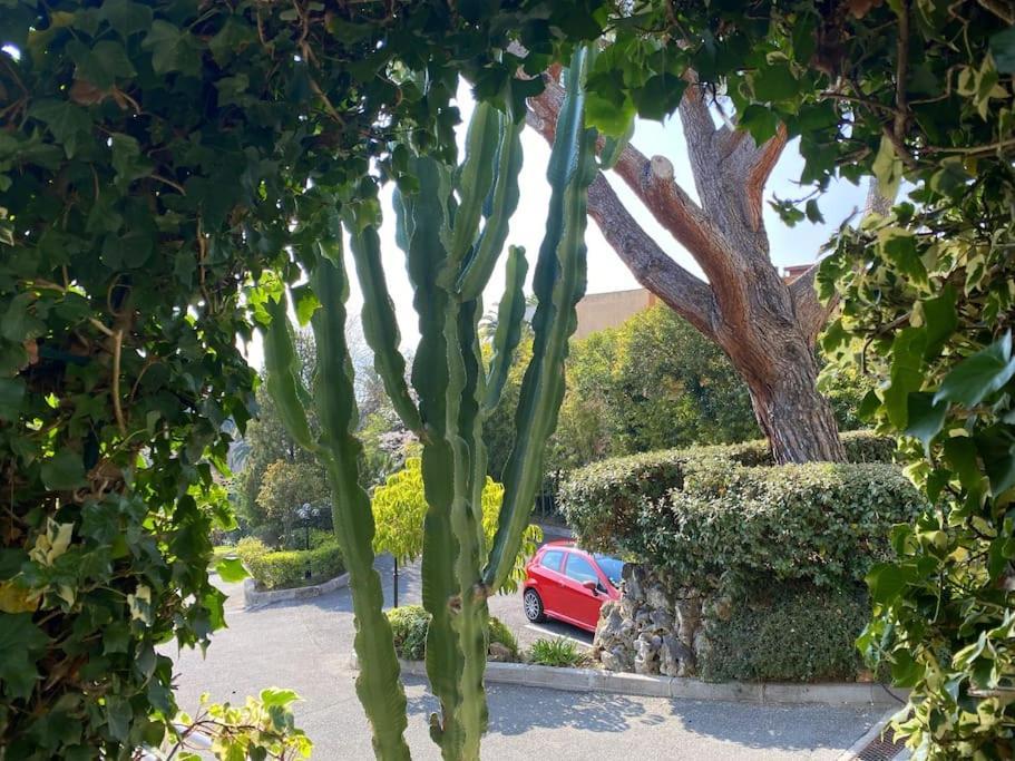 The Sun Paradise Dream Cannes Exterior foto